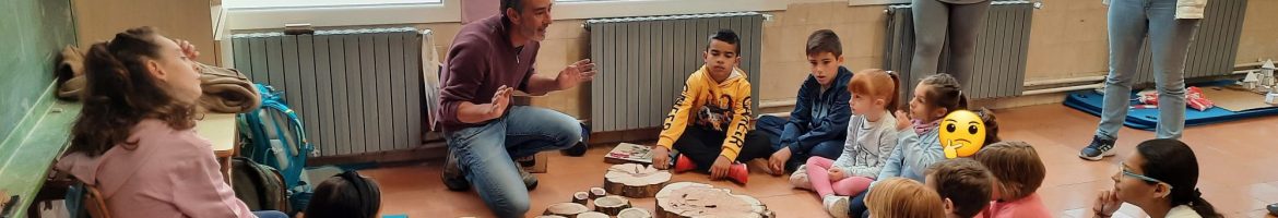Estudiando los anillos de los árboles